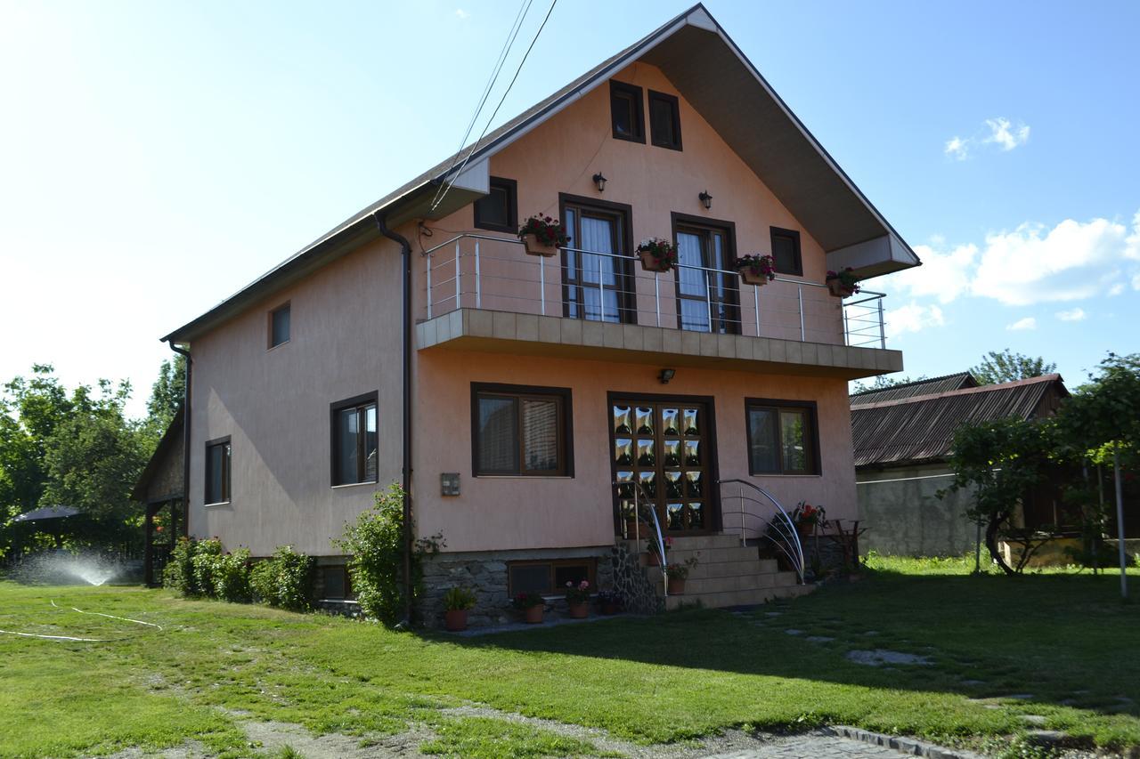 Pensiunea Balea Sat Cîrţişoara エクステリア 写真