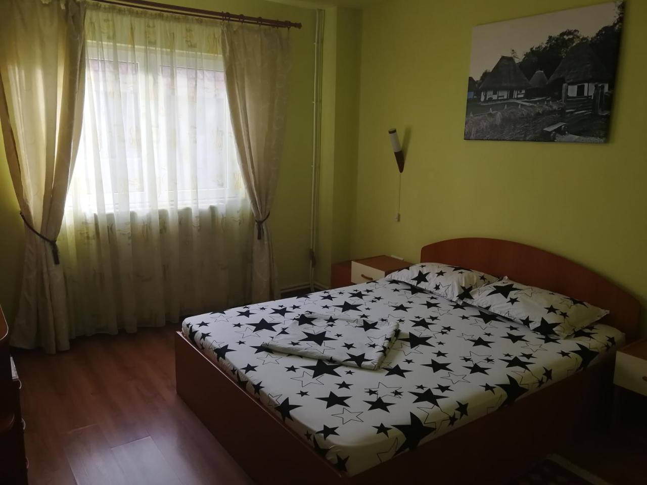 Pensiunea Balea Sat Cîrţişoara エクステリア 写真