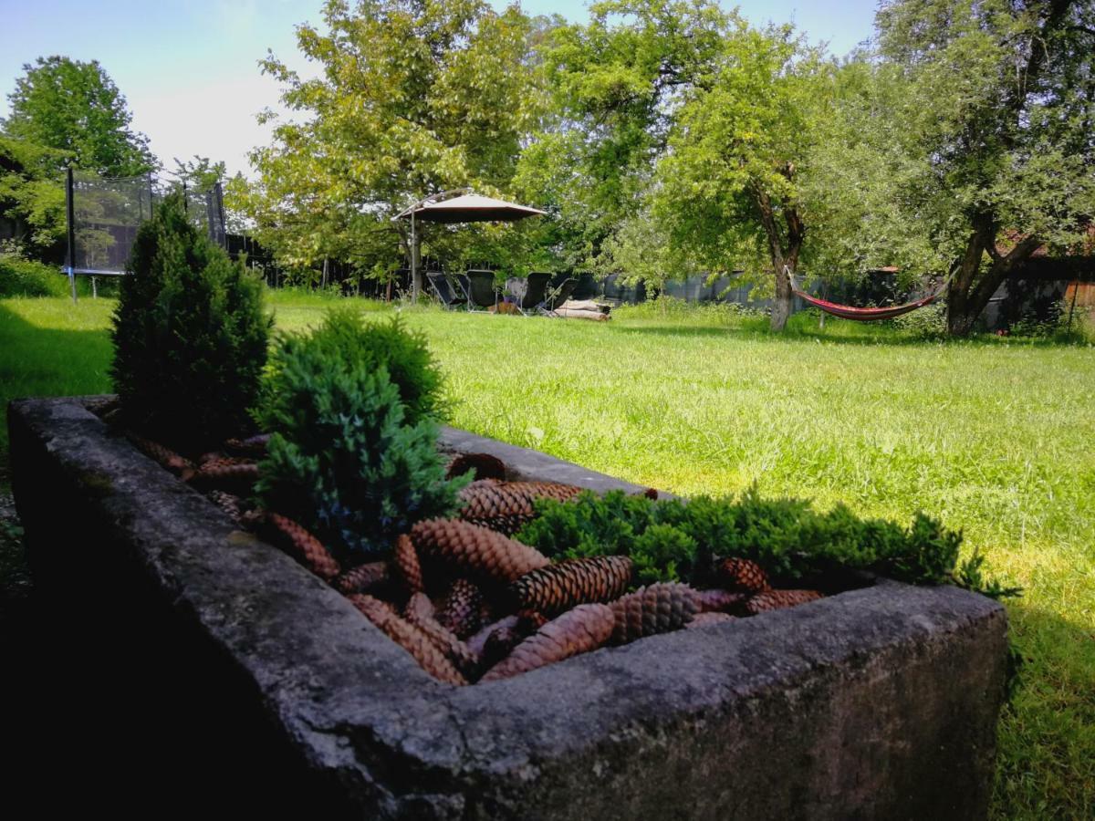 Pensiunea Balea Sat Cîrţişoara エクステリア 写真